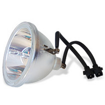 260962-LAMP