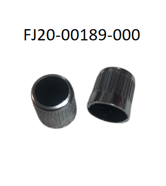 FJ20-00189-000